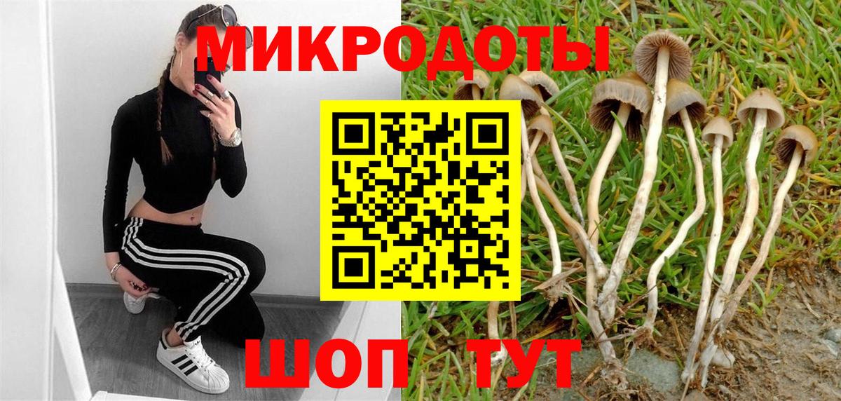 Ирбит  Псилоцибиновые грибы ЛСД  Вход с VPN 